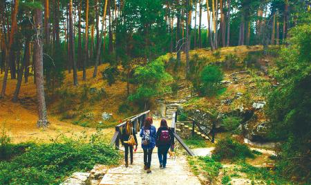 Imagen Los terminales de información turística de Prodestur registran la visita de 5.688 personas a la provincia durante el puente de la Constitución